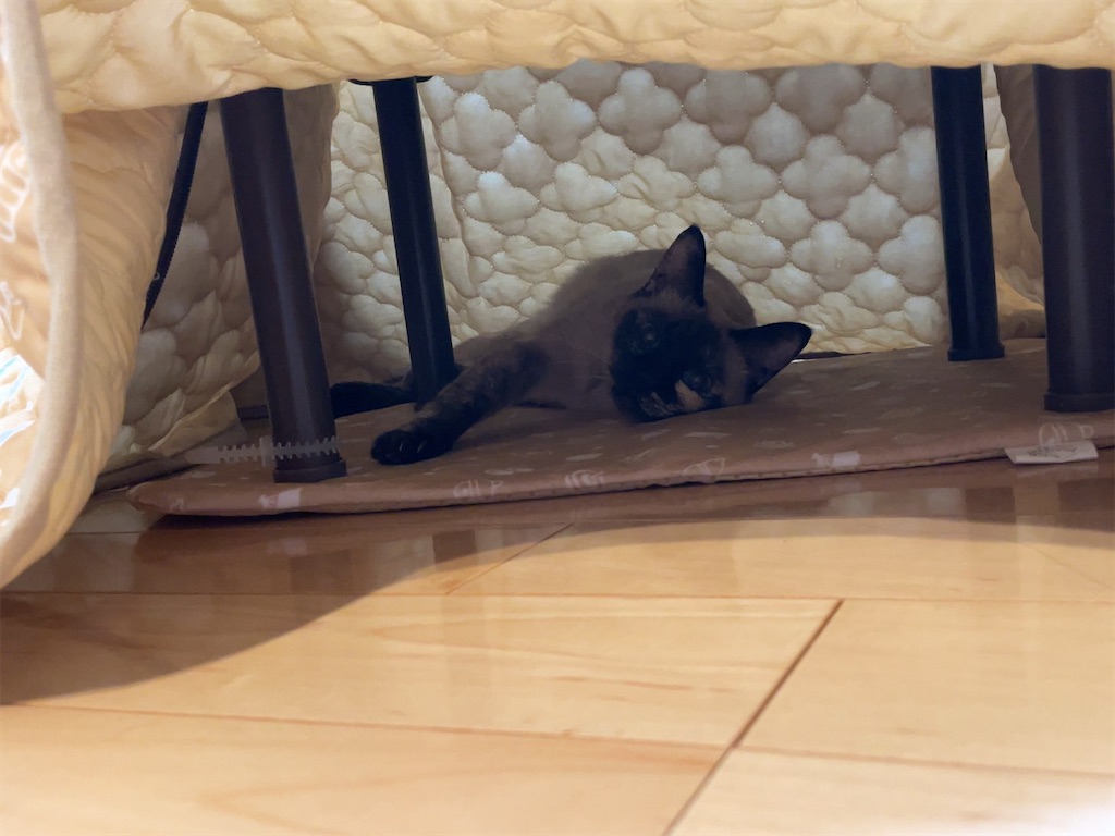 f:id:aporon2:20230103201910j:image