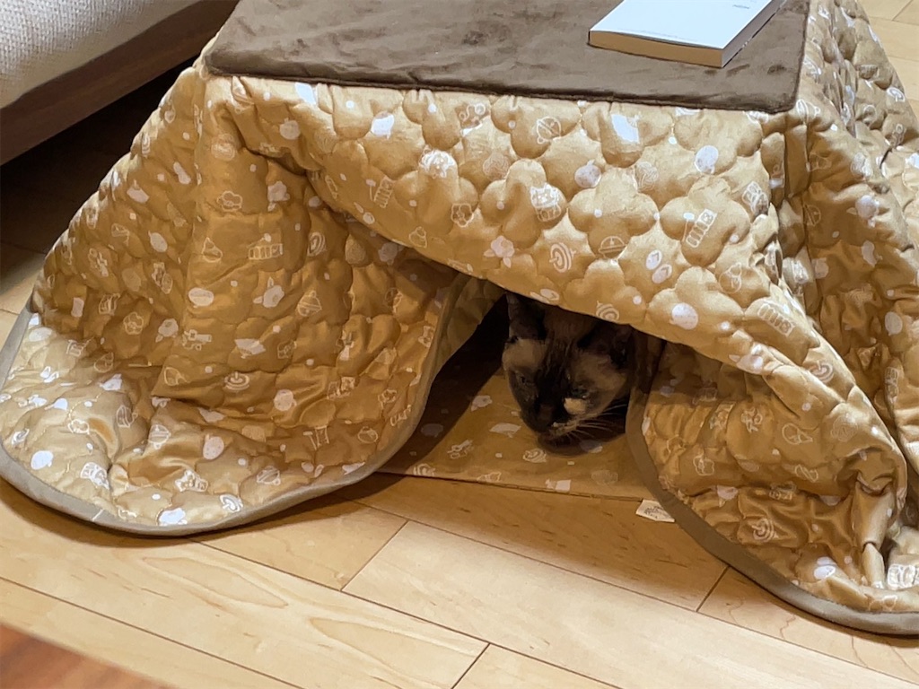 f:id:aporon2:20230103201913j:image