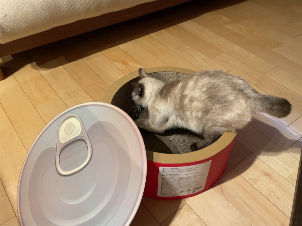 f:id:aporon2:20230103201919j:image