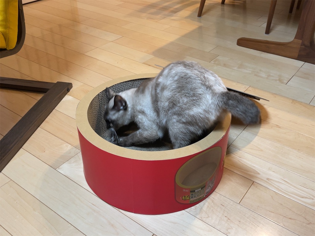 f:id:aporon2:20230103202059j:image