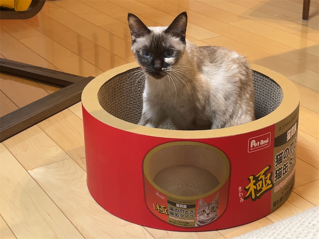 f:id:aporon2:20230103202105j:image