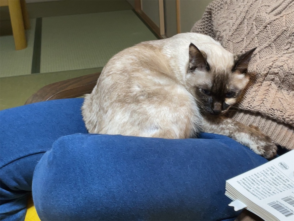 f:id:aporon2:20230103202142j:image