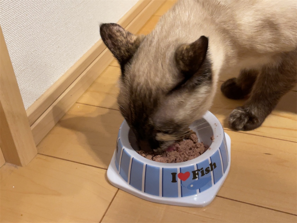 f:id:aporon2:20230103211130j:image