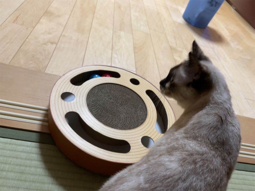 f:id:aporon2:20230103213708j:image f:id:aporon2:20230103213708j:image