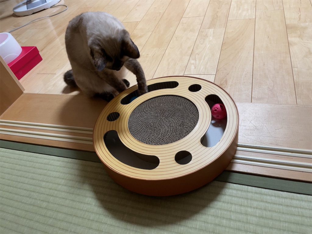 f:id:aporon2:20230103213710j:image f:id:aporon2:20230103213710j:image