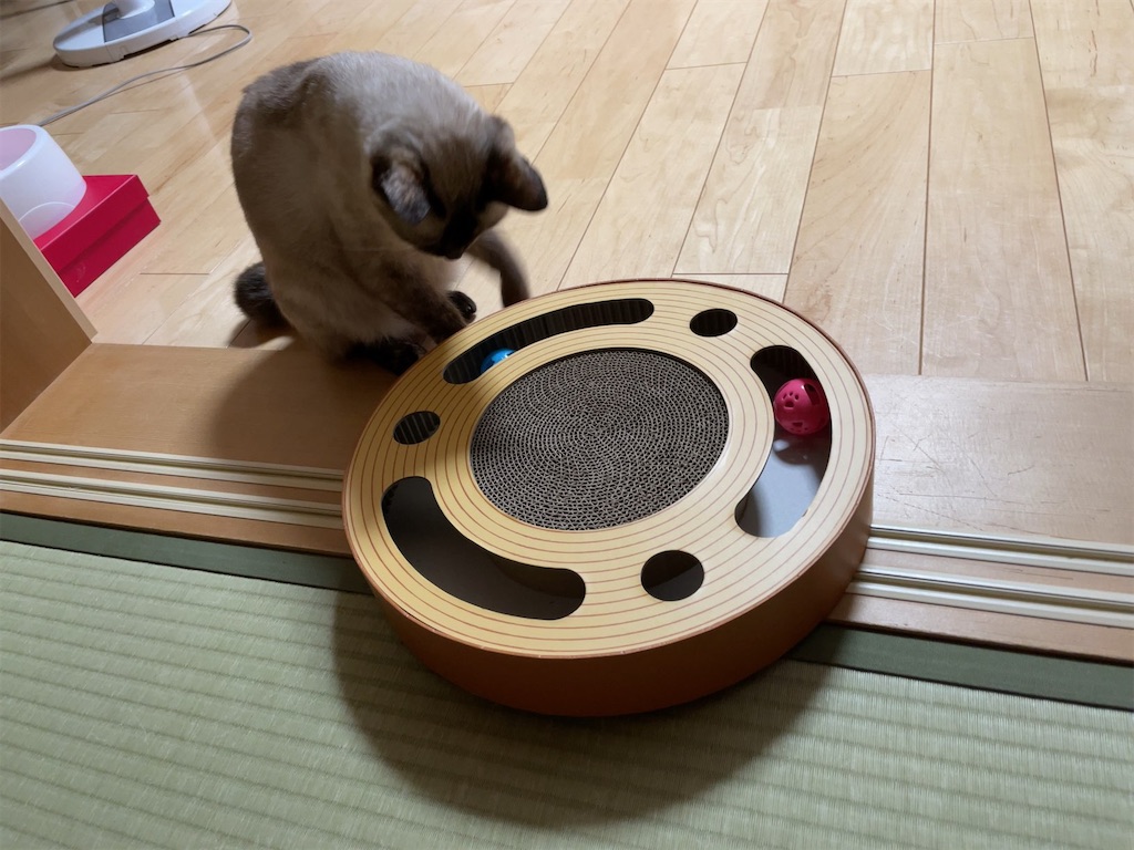 f:id:aporon2:20230103213713j:image f:id:aporon2:20230103213713j:image