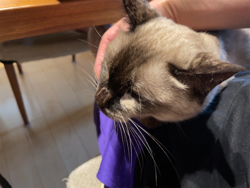 f:id:aporon2:20230103213717j:image f:id:aporon2:20230103213717j:image