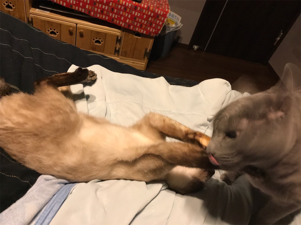 f:id:aporon2:20230103214456j:image f:id:aporon2:20230103214456j:image