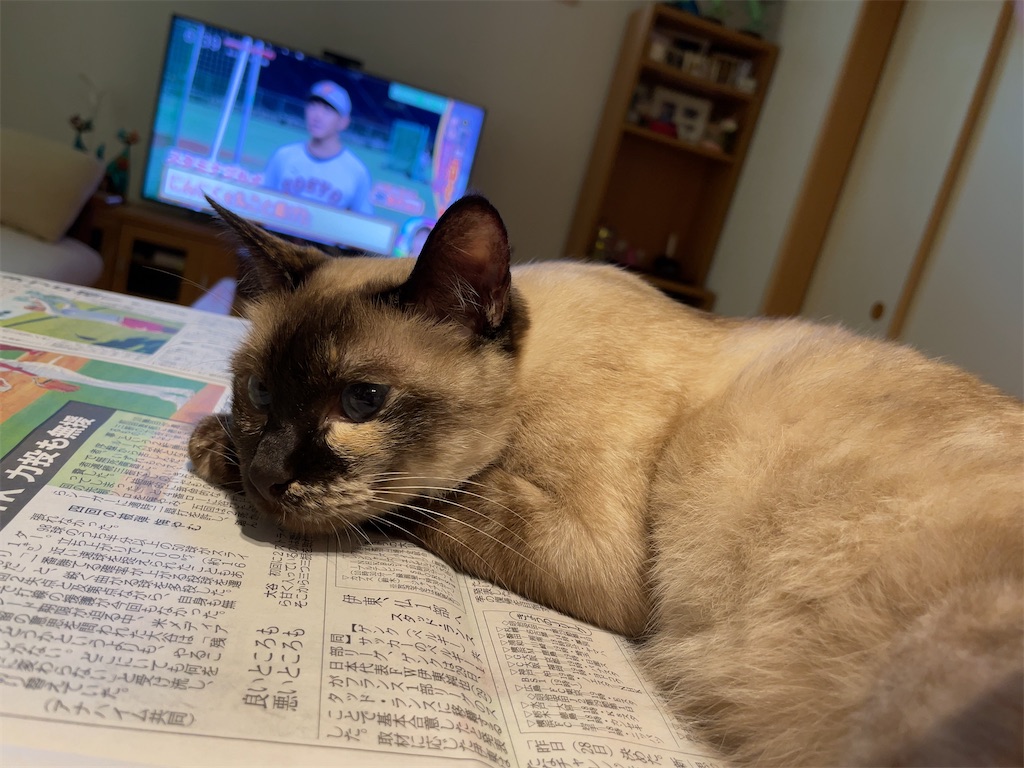 f:id:aporon2:20230103222102j:image f:id:aporon2:20230103222102j:image