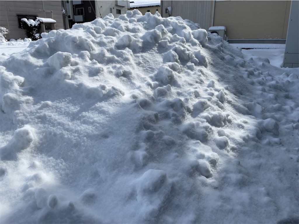 f:id:aporon2:20230128135901j:image