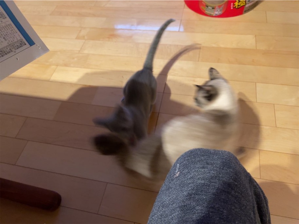 f:id:aporon2:20230412123356j:image