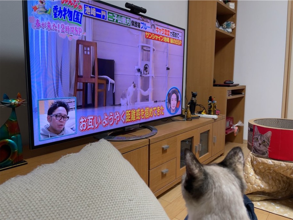 f:id:aporon2:20230412125545j:image