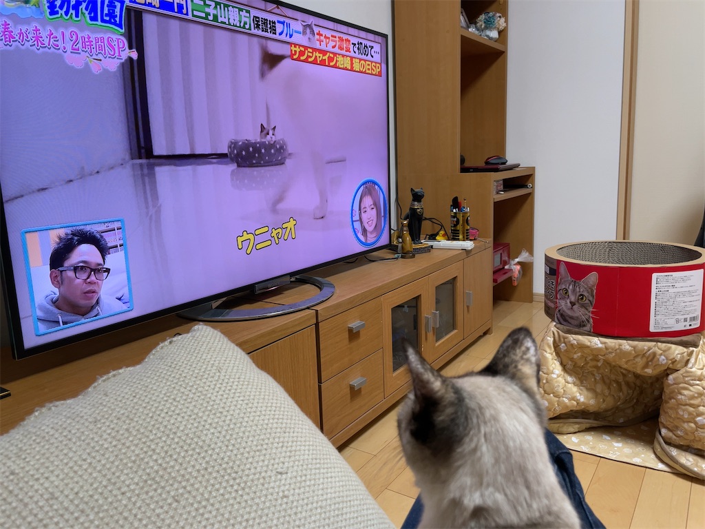 f:id:aporon2:20230412130651j:image