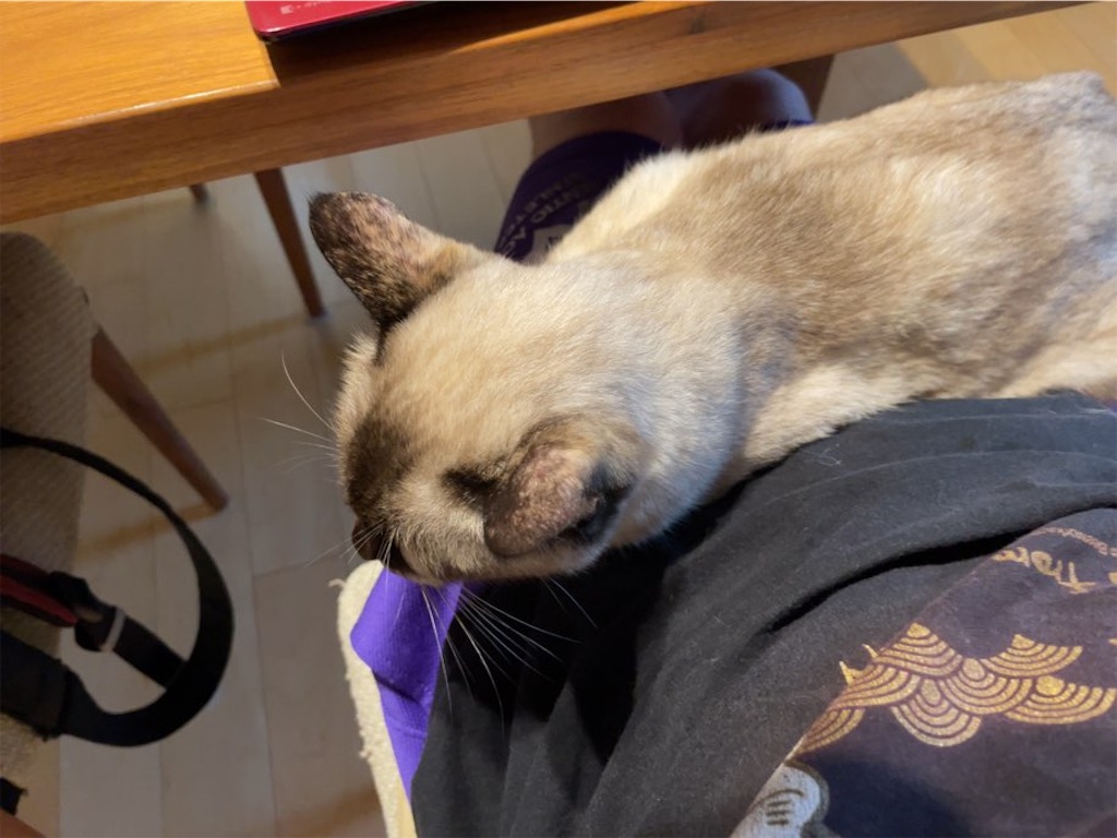 f:id:aporon2:20230429071212j:image