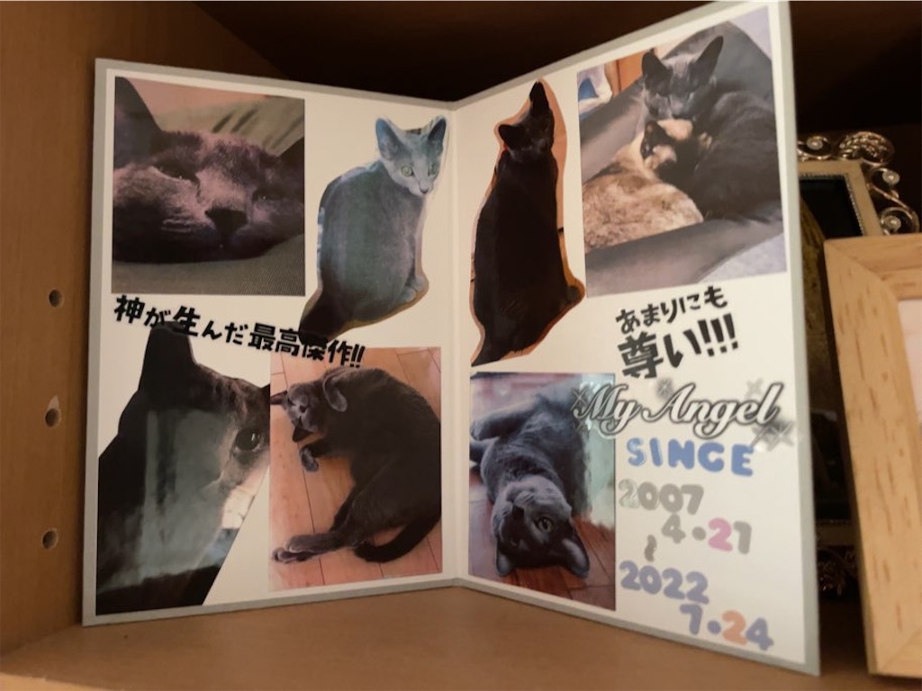 f:id:aporon2:20230723073445j:image