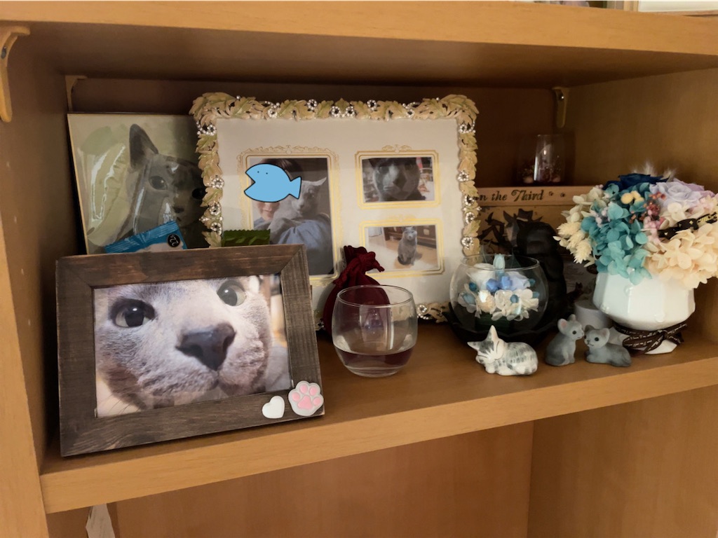 f:id:aporon2:20230723075155j:image