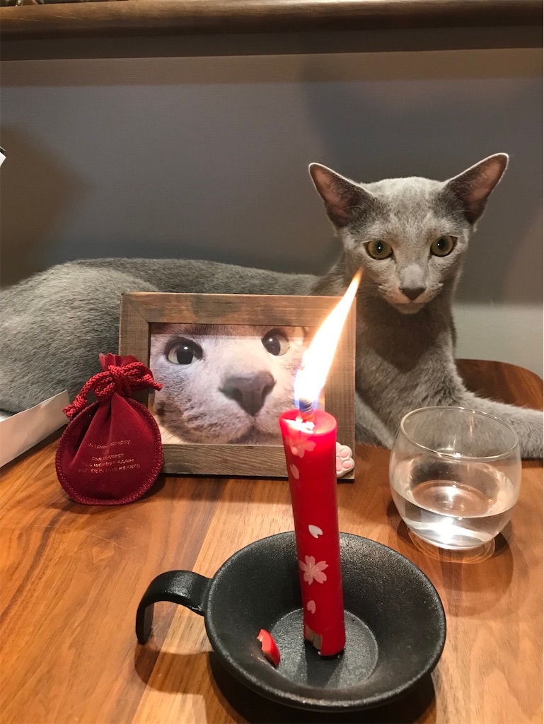 f:id:aporon2:20230723185305j:image