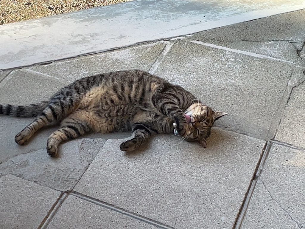 f:id:aporon2:20230928050246j:image