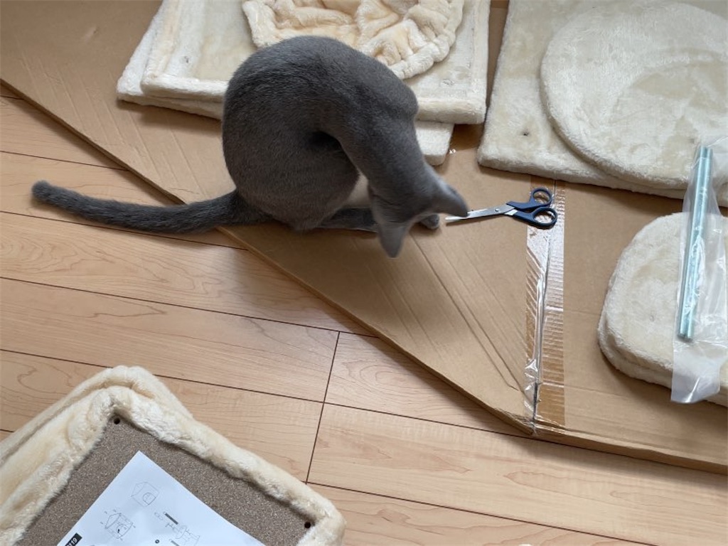 f:id:aporon2:20231016125514j:image