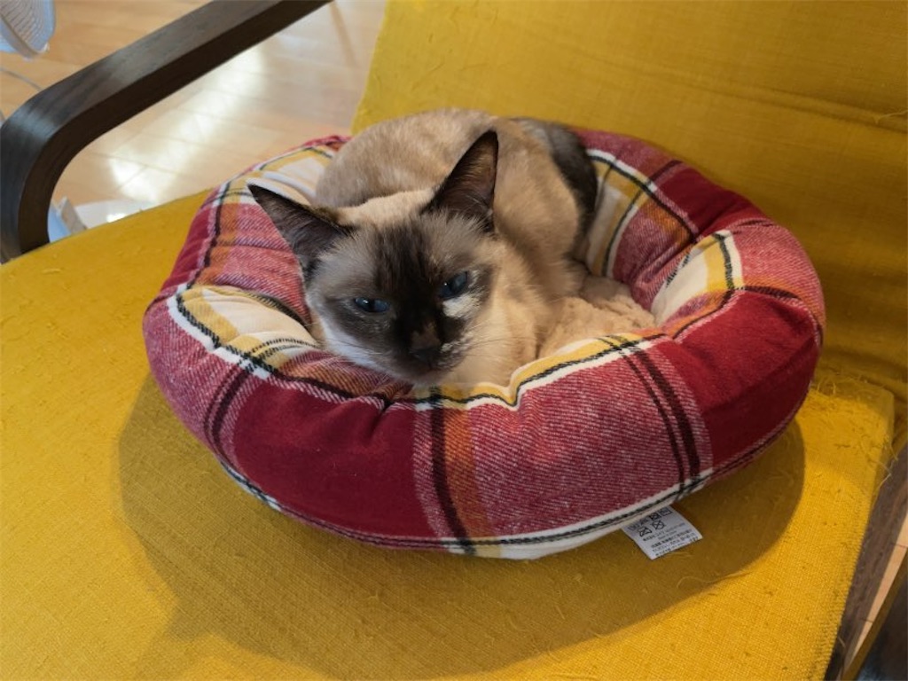 f:id:aporon2:20231016125940j:image