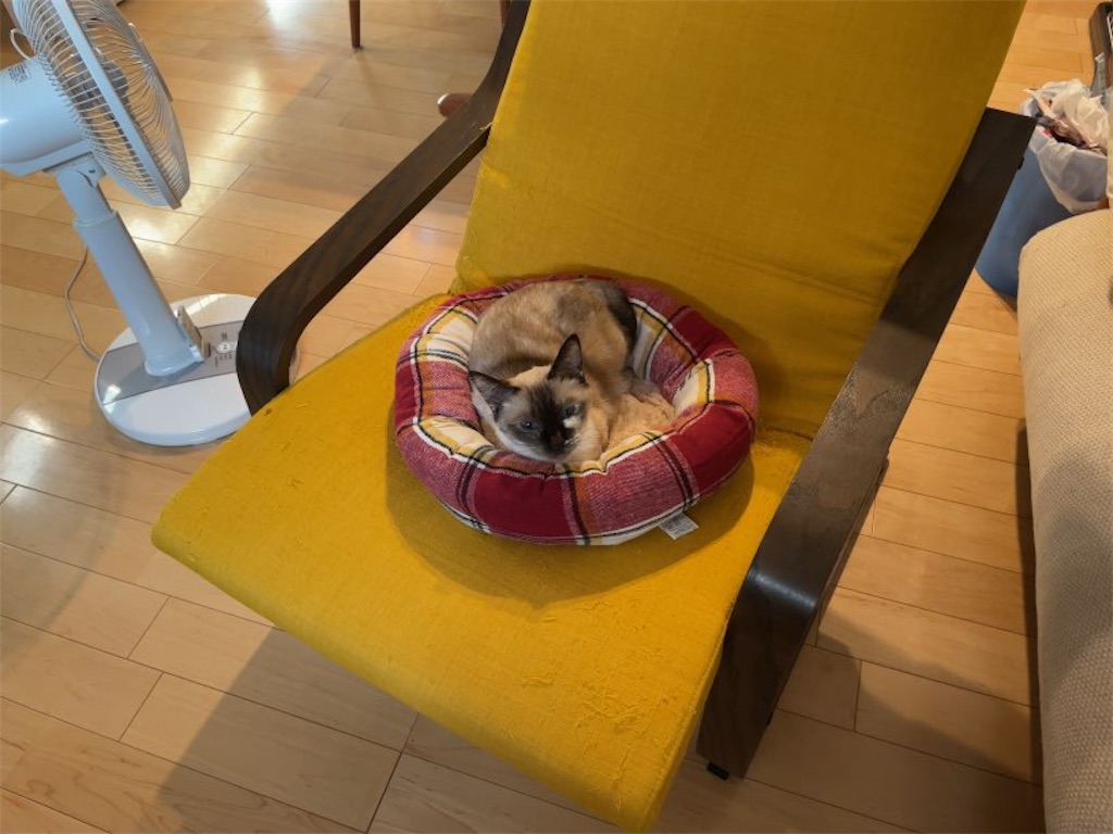 f:id:aporon2:20231016125943j:image