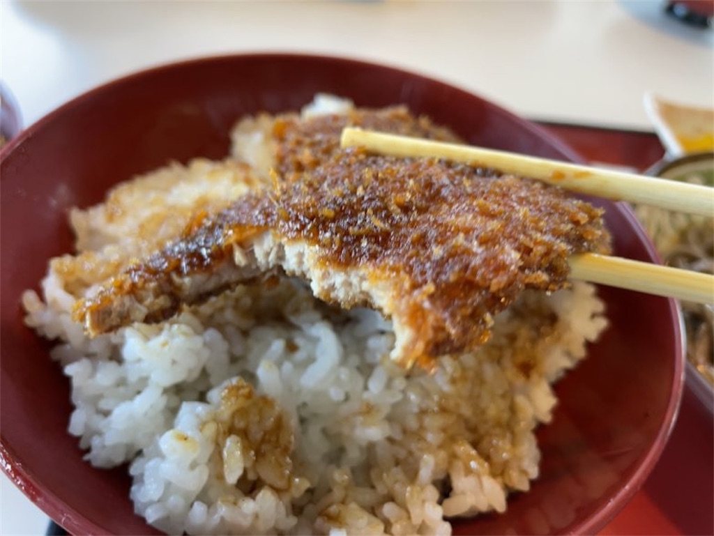 f:id:aporon2:20231105133101j:image