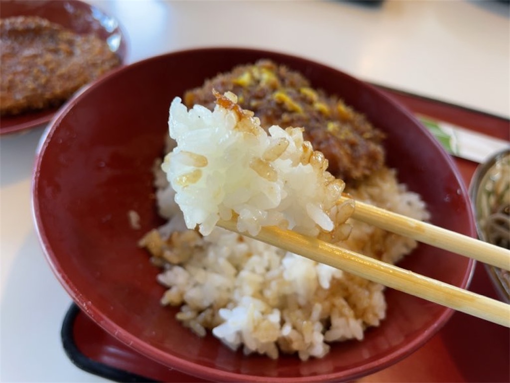 f:id:aporon2:20231105133104j:image