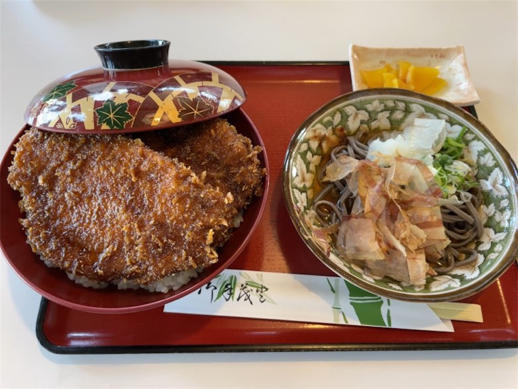 f:id:aporon2:20231105133110j:image