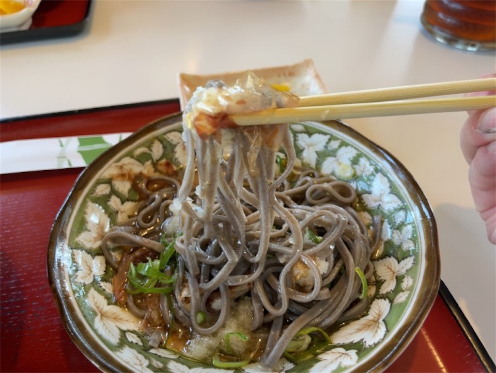 f:id:aporon2:20231105133123j:image