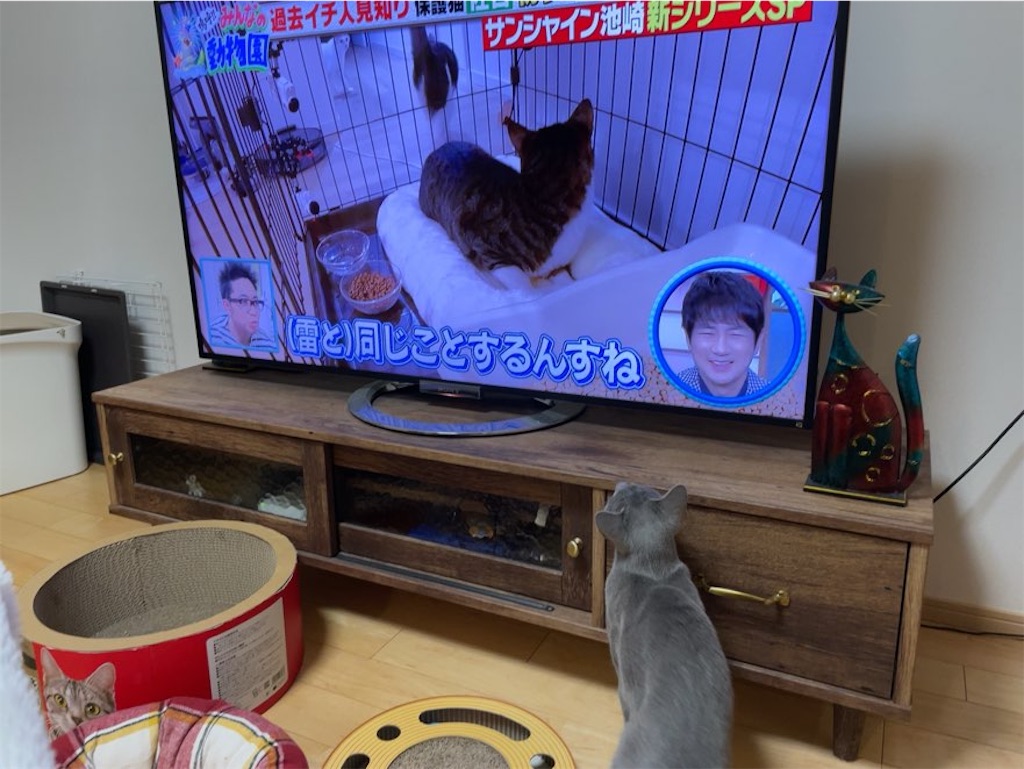 f:id:aporon2:20231206130244j:image