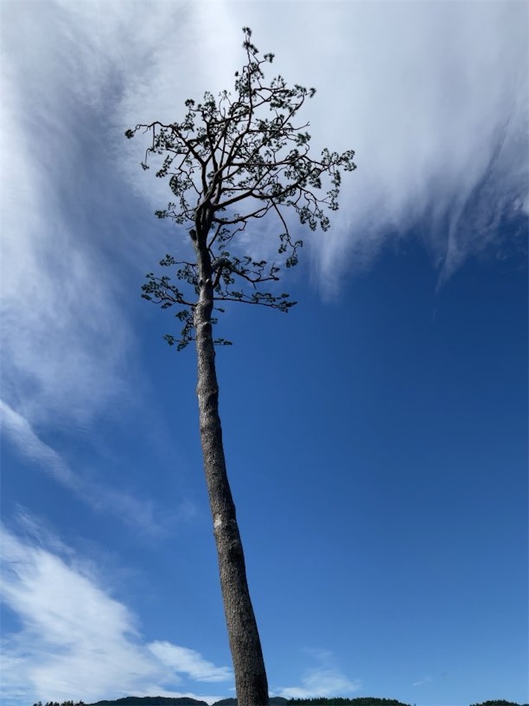 f:id:aporon2:20231231144324j:image