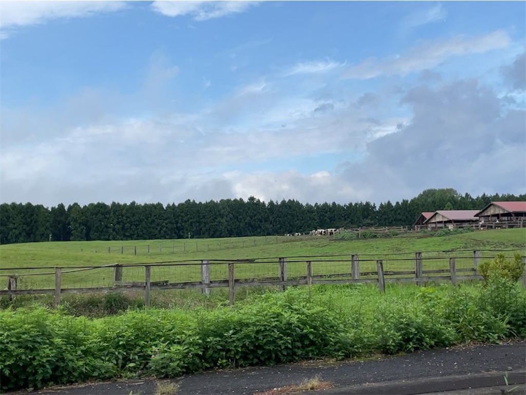 f:id:aporon2:20240217165629j:image