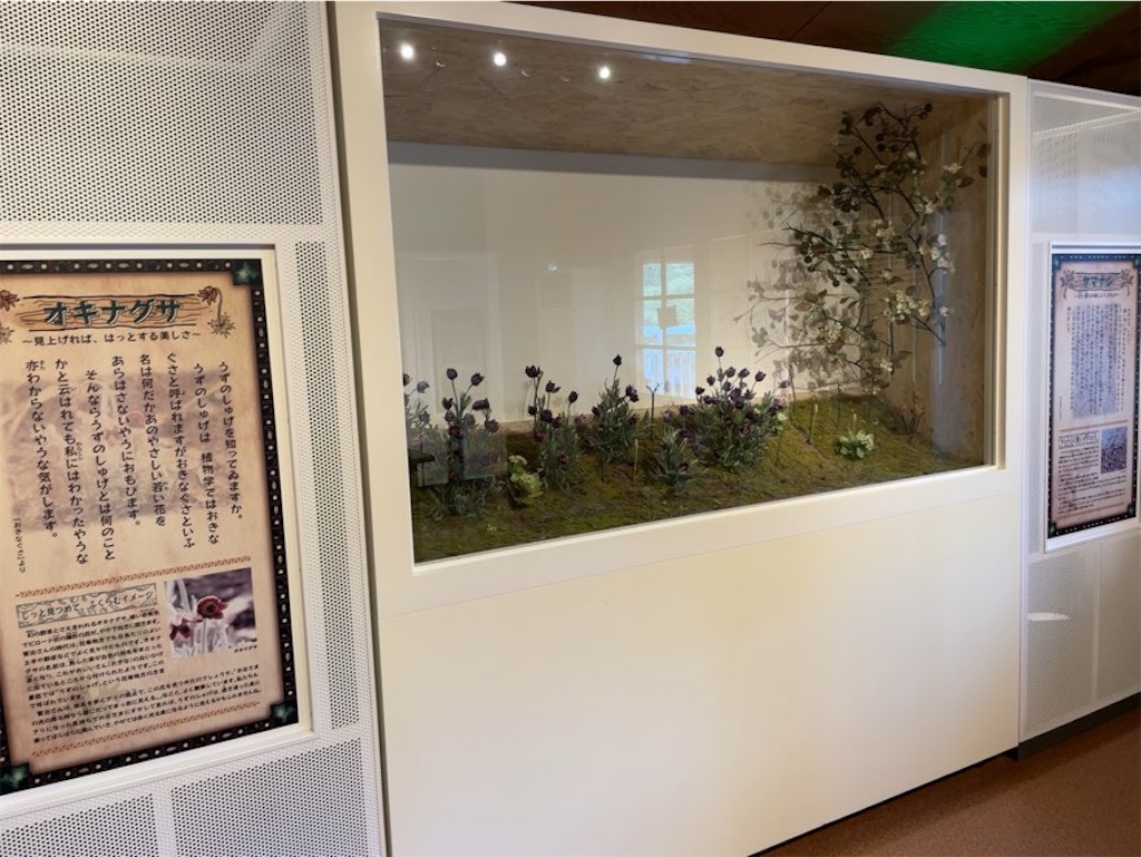 f:id:aporon2:20240314121425j:image