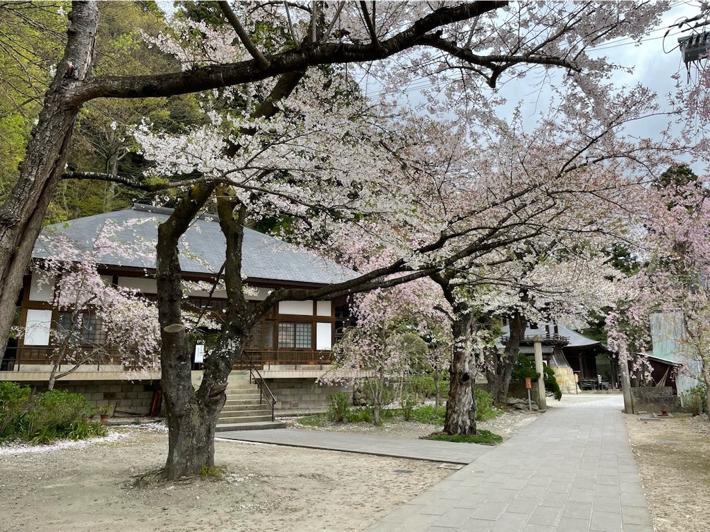 f:id:aporon2:20240427212801j:image f:id:aporon2:20240427212801j:image