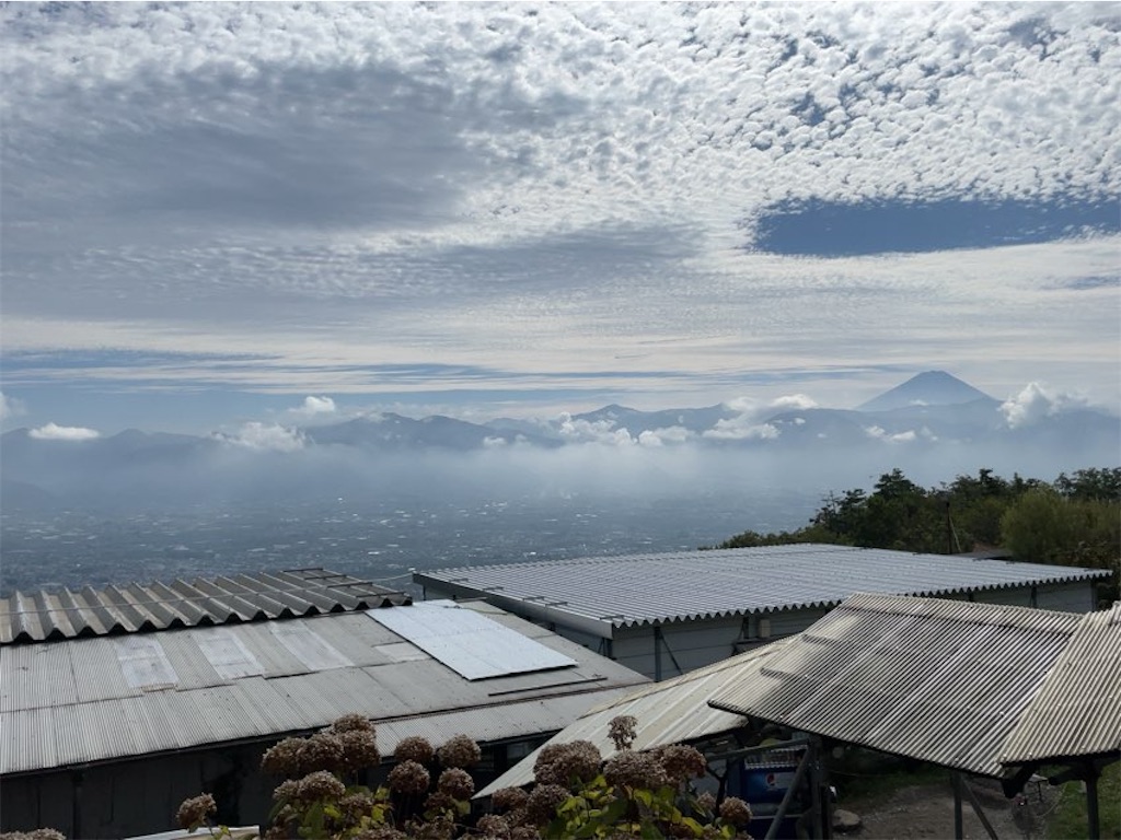 f:id:aporon2:20241221232059j:image