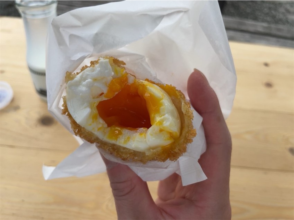 f:id:aporon2:20241221232110j:image