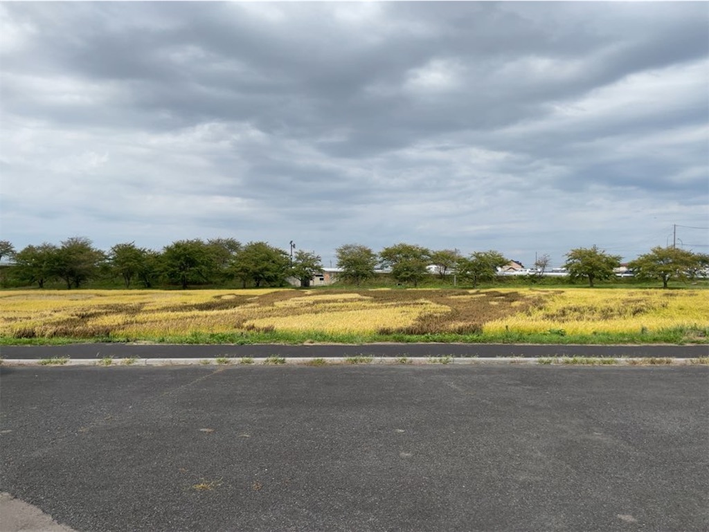 f:id:aporon2:20251109063937j:image