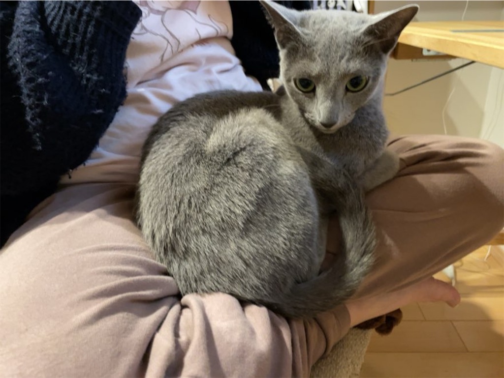 f:id:aporon2:20251231165023j:image f:id:aporon2:20251231165023j:image