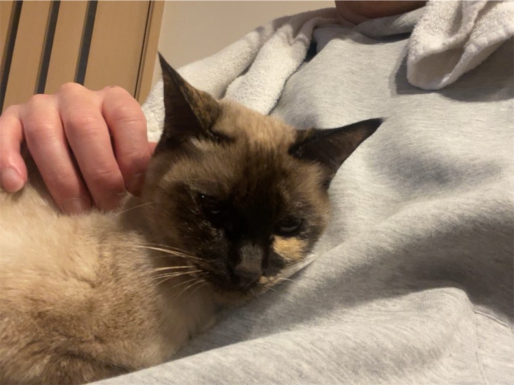 f:id:aporon2:20251231165036j:image f:id:aporon2:20251231165036j:image