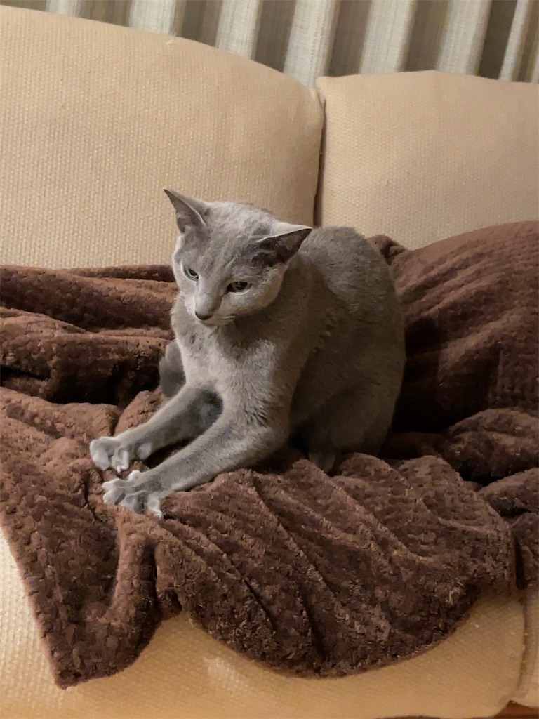 f:id:aporon2:20251231170440j:image f:id:aporon2:20251231170440j:image