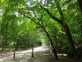 f:id:appelsiini:20110730115309j:image:medium f:id:appelsiini:20110730115309j:image:medium