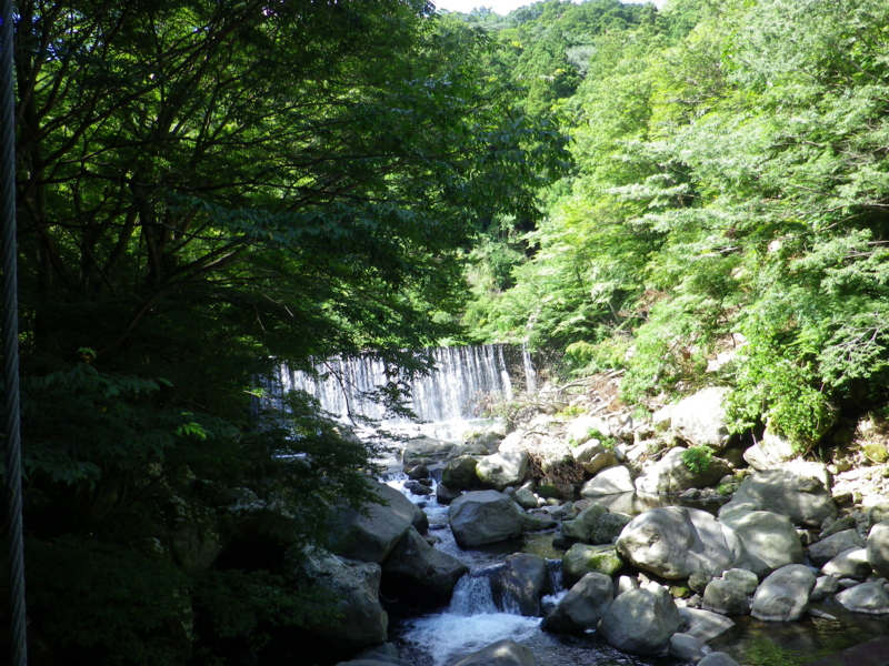 f:id:appelsiini:20120805144446j:image:w360 f:id:appelsiini:20120805144446j:image:w360