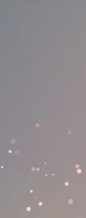 ◆◆◆◆◆◆◆◆◆◆◆◆◆◆