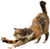 f:id:apple-seeds:20200403221003j:plain