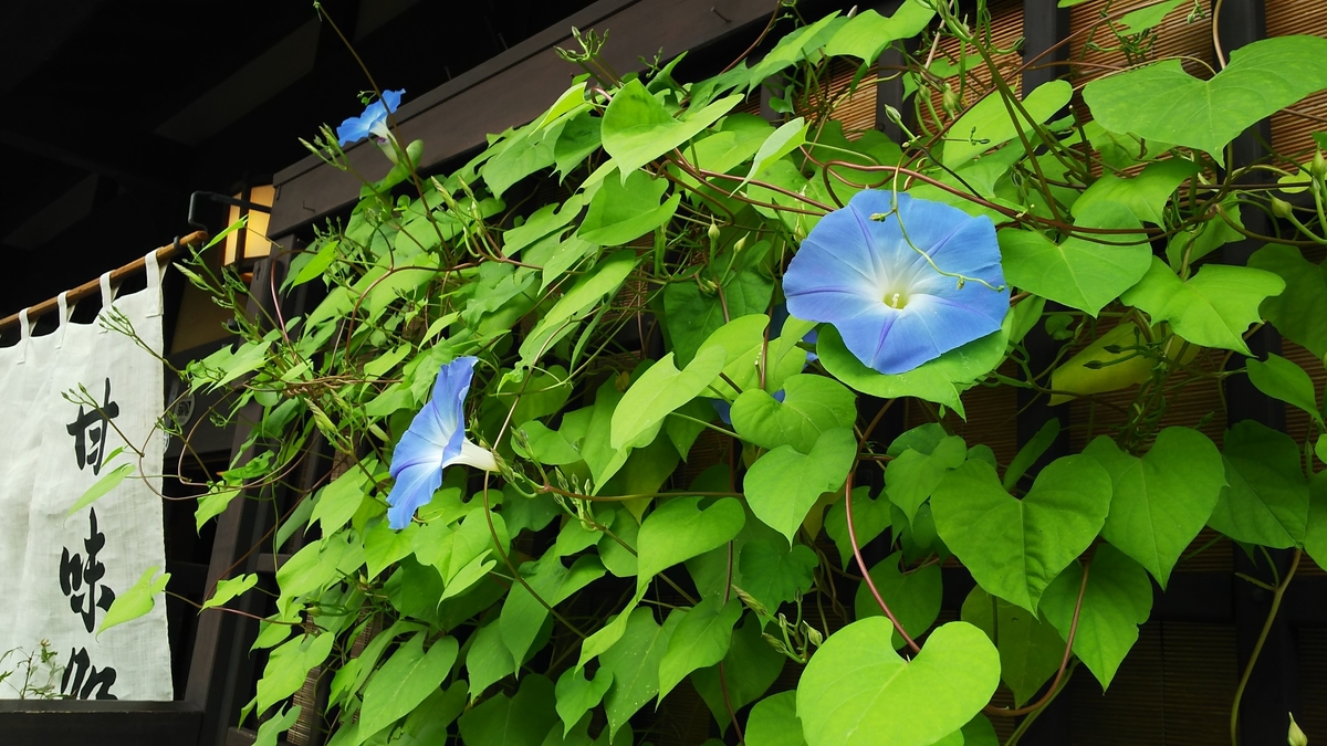 f:id:apple2019a:20190807114145j:plain f:id:apple2019a:20190807114145j:plain