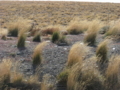 20120426224250