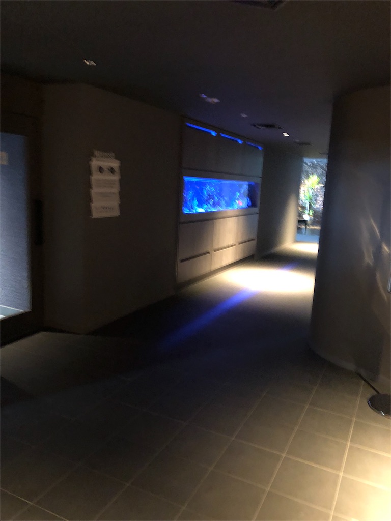 f:id:apple8383:20190710115835j:plain