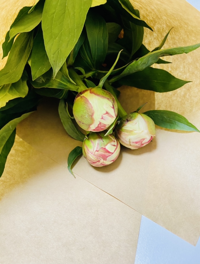 f:id:apple8383:20210511110421j:plain