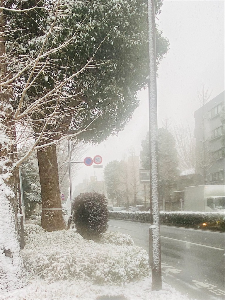 f:id:apple8383:20220106215208j:plain