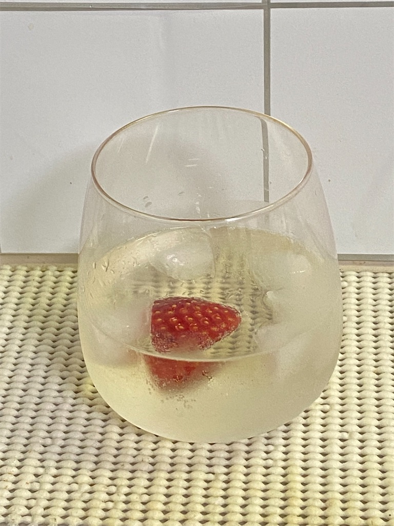 f:id:apple8383:20220109230517j:plain